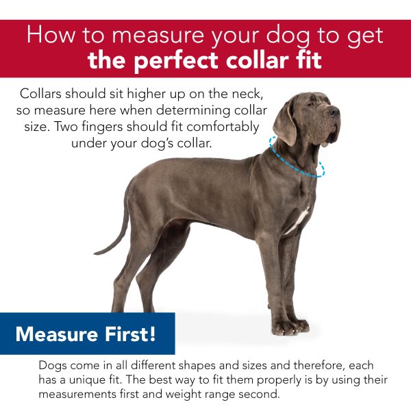 Coastal Pet SecureAway Flea Collar Protectors Cheap