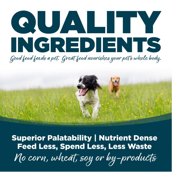 NutriSource® Adult Small Bites Chicken & Rice Recipe Dry Dog Food Online Hot Sale