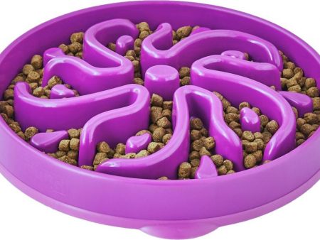 Outward Hound Dog Games Slo Bowl Slow Feeders Flower Design Dog Bowl Online Hot Sale