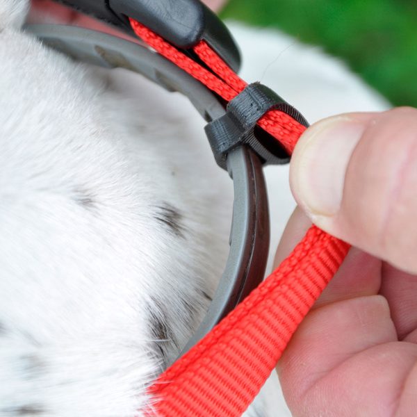 Coastal Pet SecureAway Flea Collar Protectors Cheap