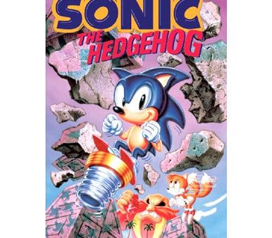 126 DISPLAY - Sonic & Tails Poster 24x36 PE Online Hot Sale