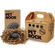 World’s Smallest Pet Rock 2  Online Hot Sale