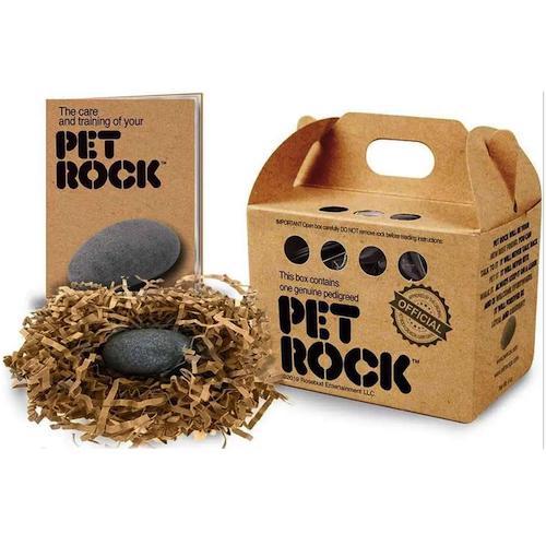 World’s Smallest Pet Rock 2  Online Hot Sale