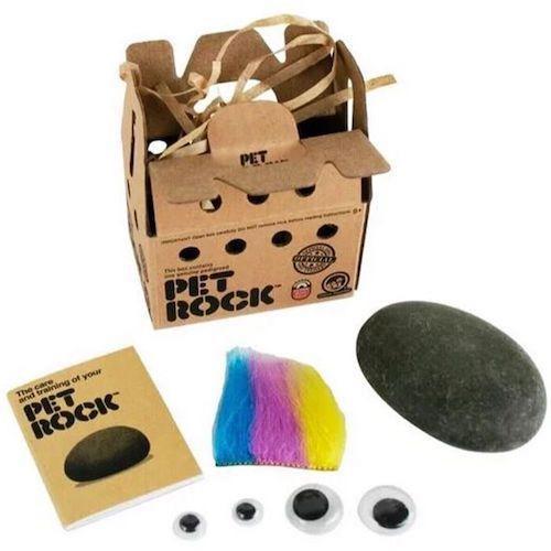 World’s Smallest Pet Rock 2  Online Hot Sale