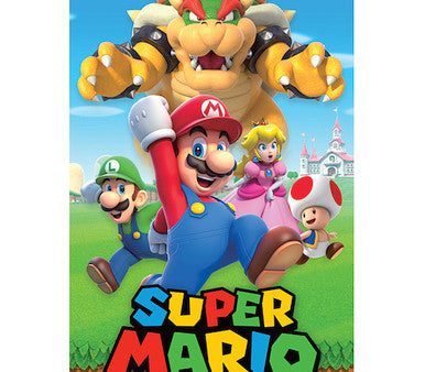 142 DISPLAY - Super Mario Character Poster 24x36 PE Online now