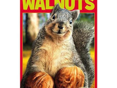 132 DISPLAY - Squirrel Grab Life by the Walnuts Poster 22X34 Trends Cheap