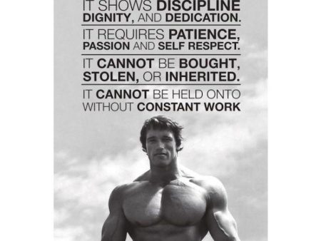 008 DISPLAY - Arnold Schwarzenegger Poster 24x36 PE Fashion