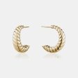 Gold Crescent Hoops Fashion