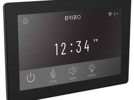 Brizo 8CN-600S Digital interface Sale